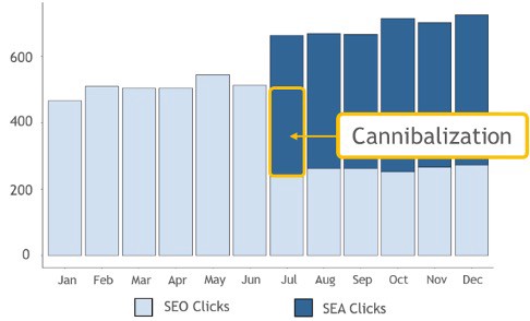 Synergy SEO SEA2