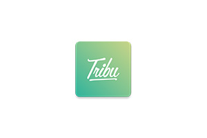 Tribu News