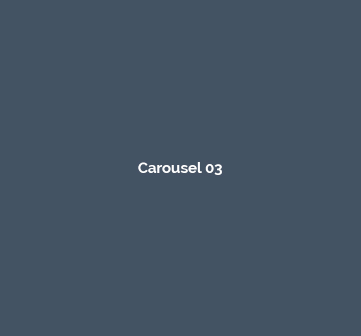 carousel03